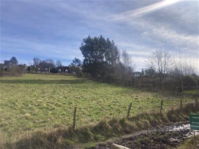 Picture 7